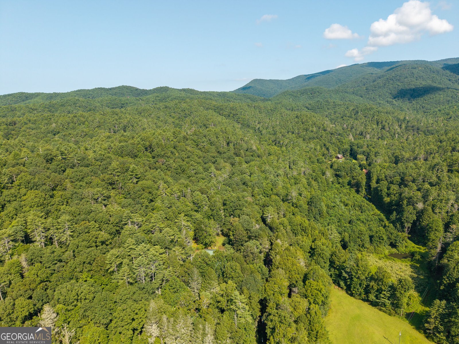 61 Wilderness Trail Ellijay - Photo 19