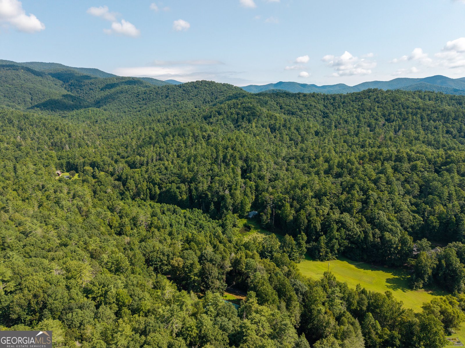 61 Wilderness Trail Ellijay - Photo 20