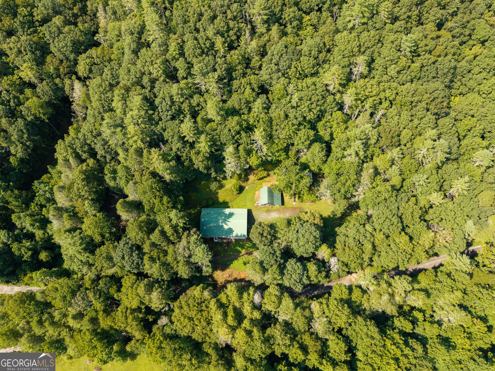 61 Wilderness Trail Ellijay - Photo 23
