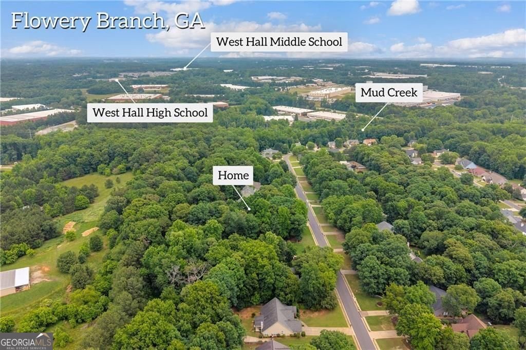5724 Newberry Point Drive Flowery Branch - Photo 50