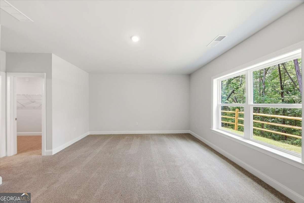 3343 Siena Place Douglasville - Photo 46