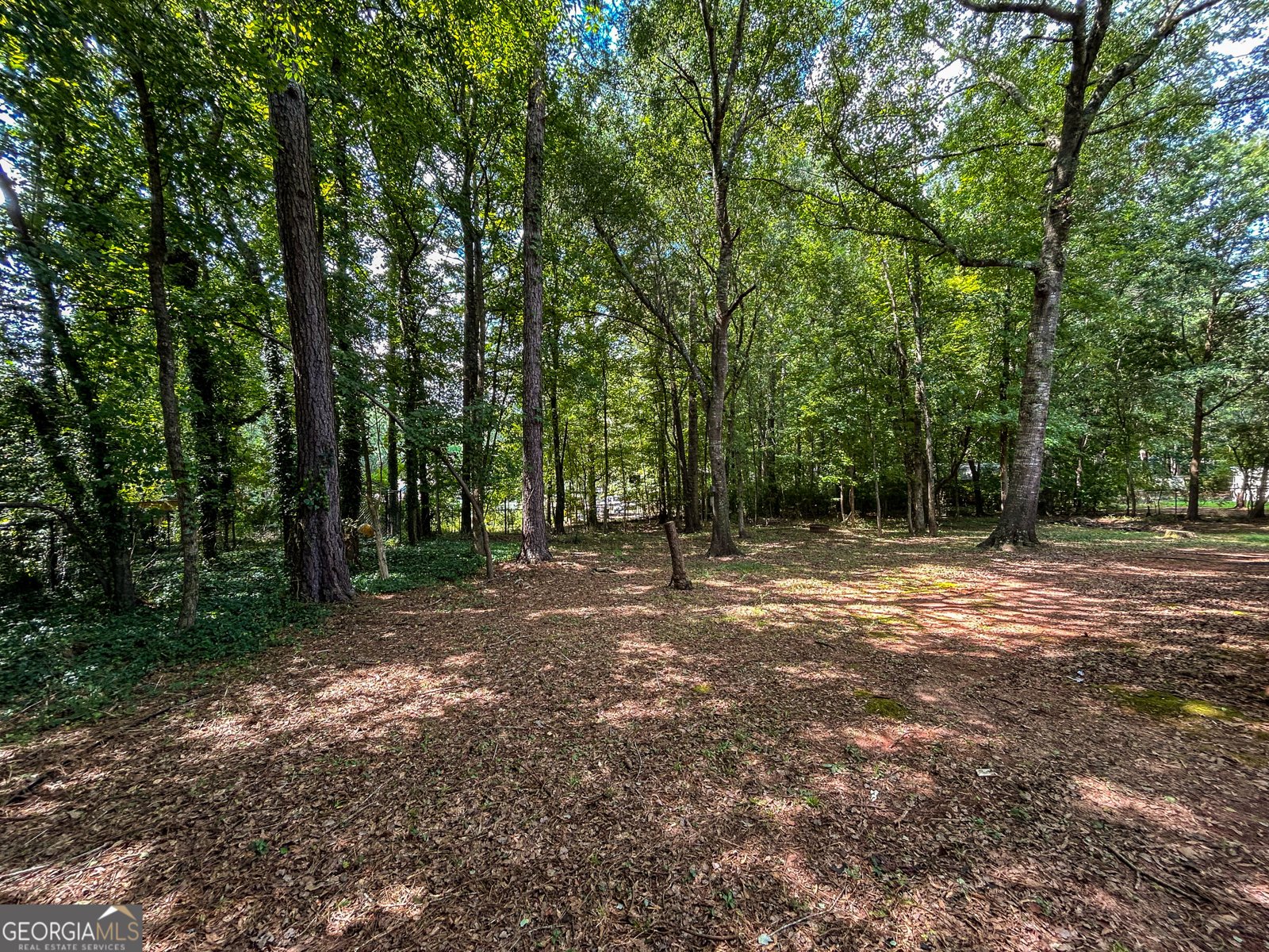 373 Deertrigger Landing Athens - Photo 29