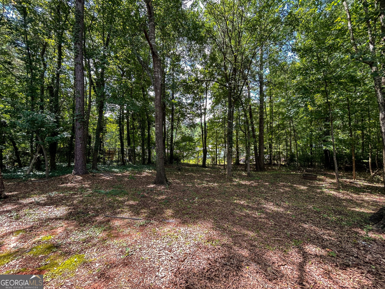 373 Deertrigger Landing Athens - Photo 30