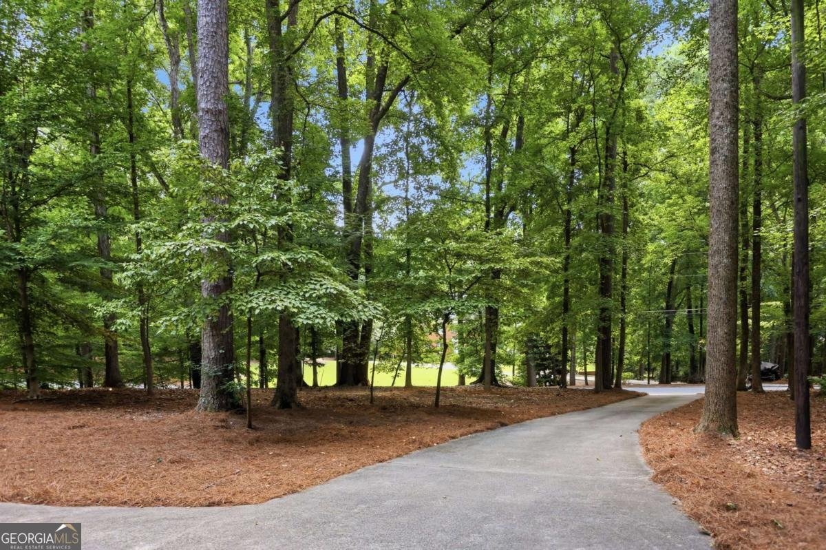 713 Saint Marys Lane Marietta - Photo 38