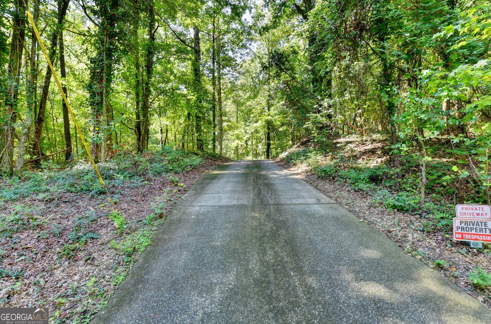 6173 Pine Circle Flowery Branch - Photo 111