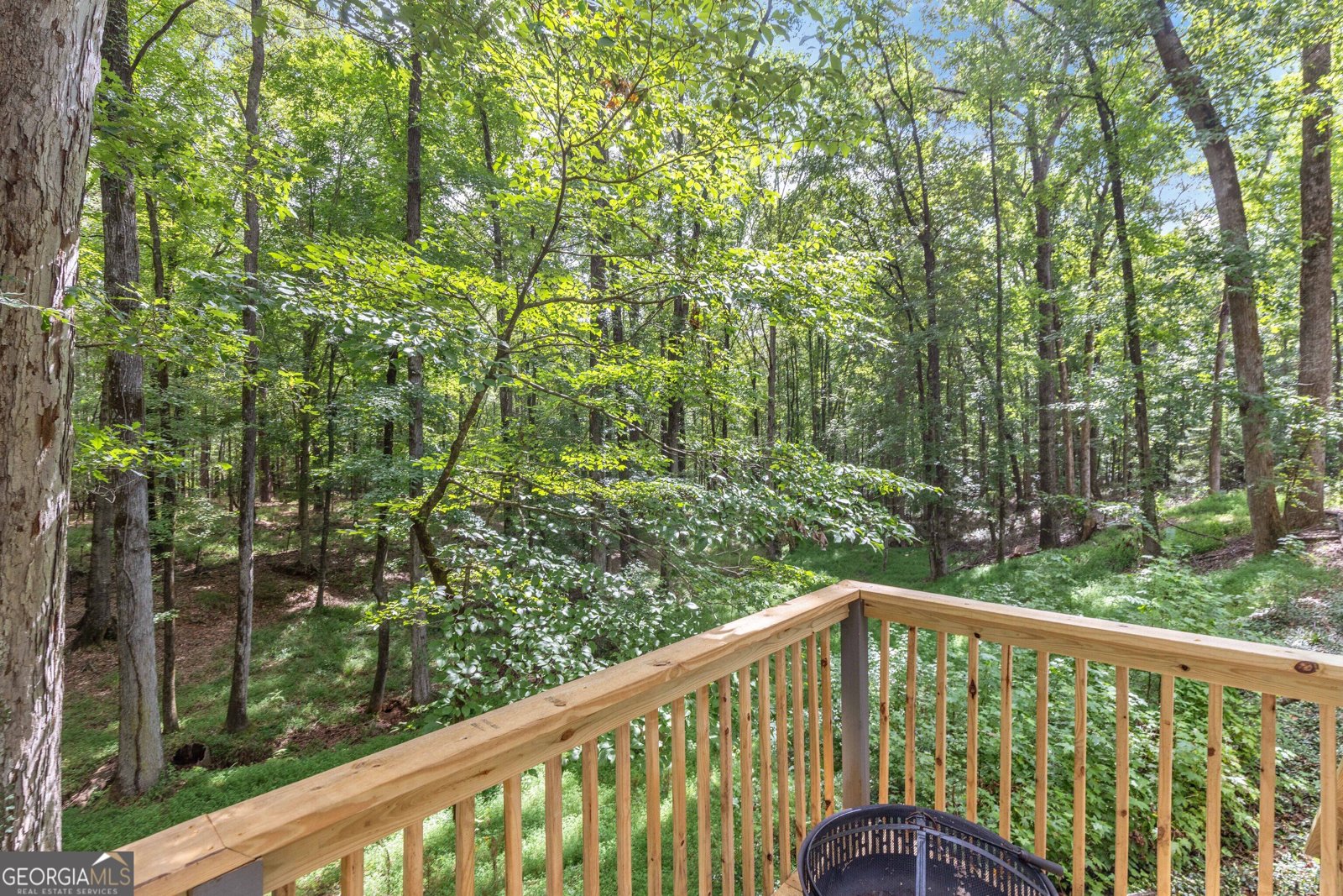 1011 Mountain Hill Road Fortson - Photo 21