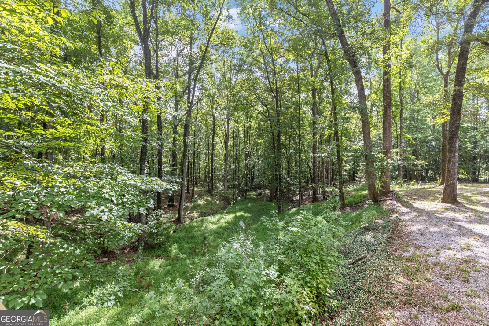 1011 Mountain Hill Road Fortson - Photo 22