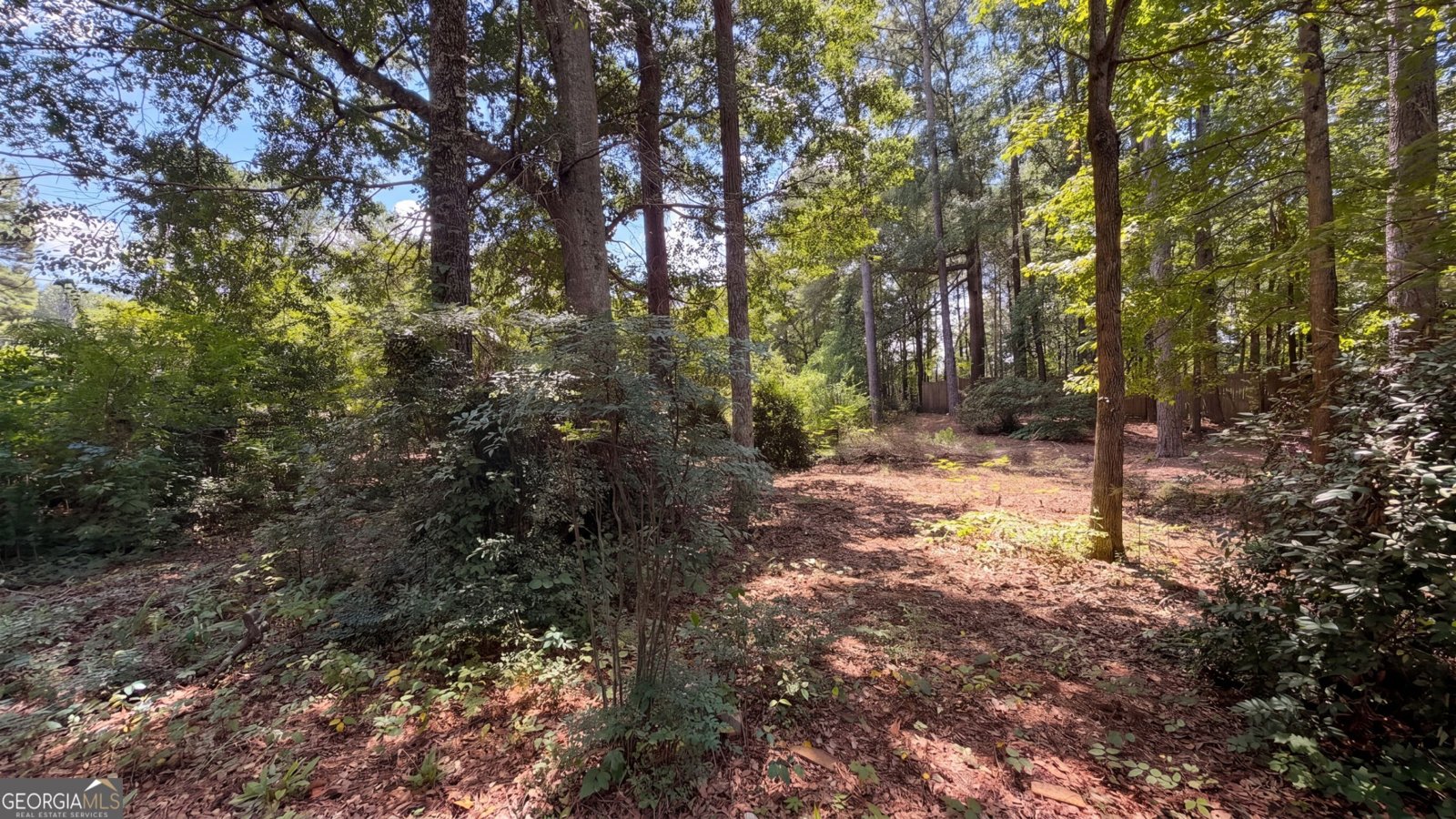 115 Emerald Lane Hampton - Photo 29