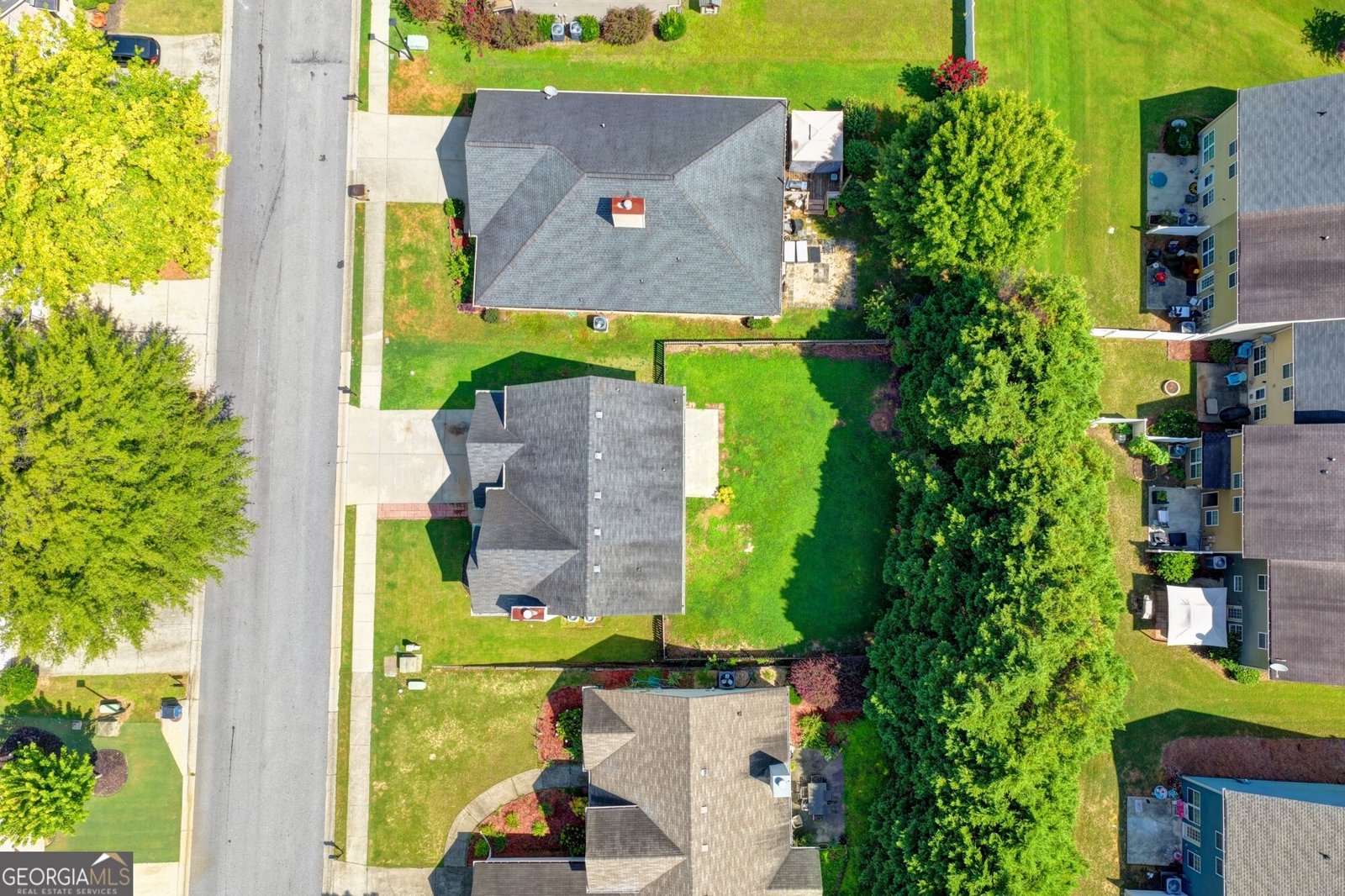 6383 Grand Hickory Drive Braselton - Photo 59