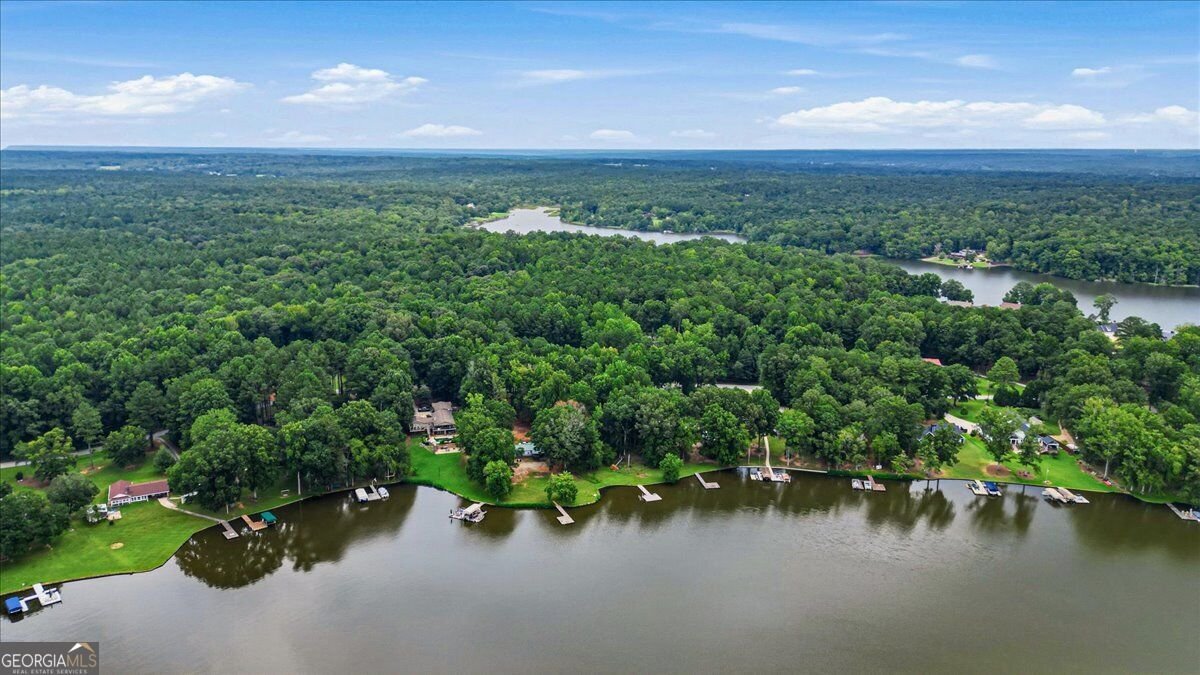 1551 Sugar Creek Trail Buckhead - Photo 47