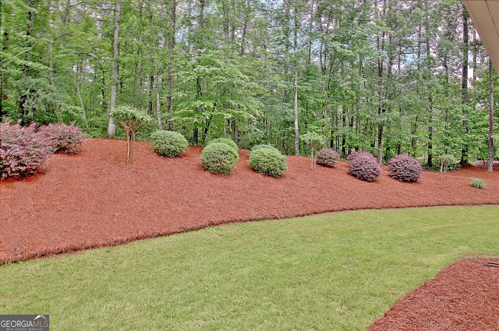 20 Woodchase Drive Senoia - Photo 101