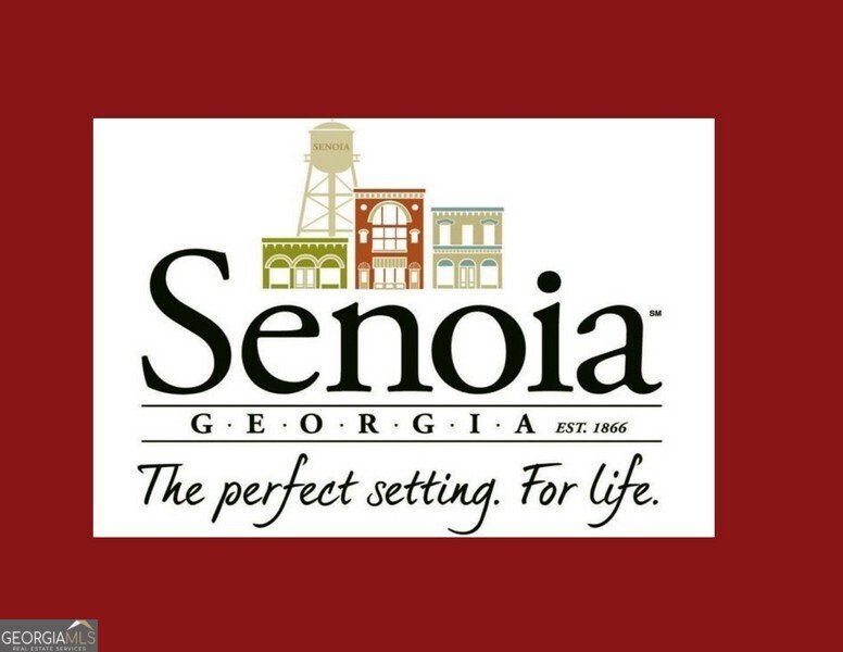 20 Woodchase Drive Senoia - Photo 103