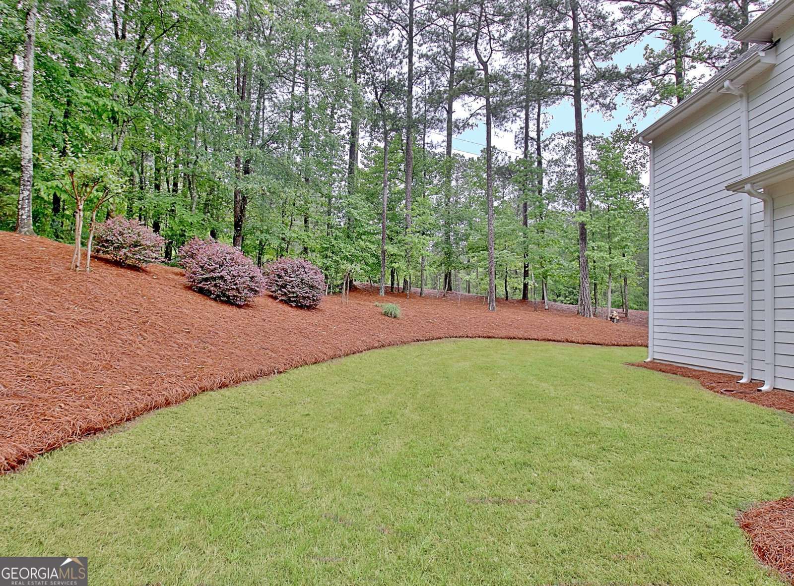 20 Woodchase Drive Senoia - Photo 94