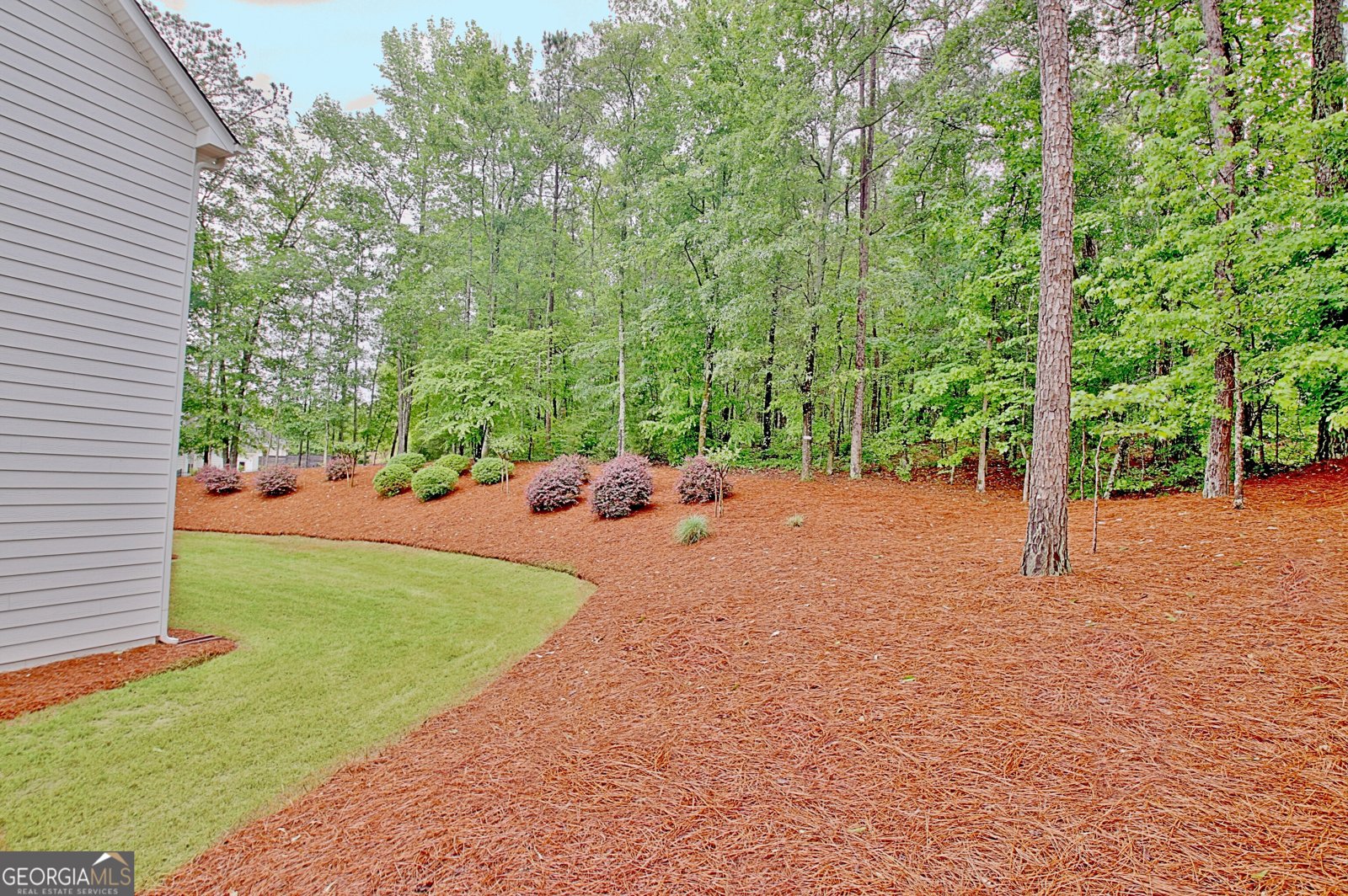 20 Woodchase Drive Senoia - Photo 97