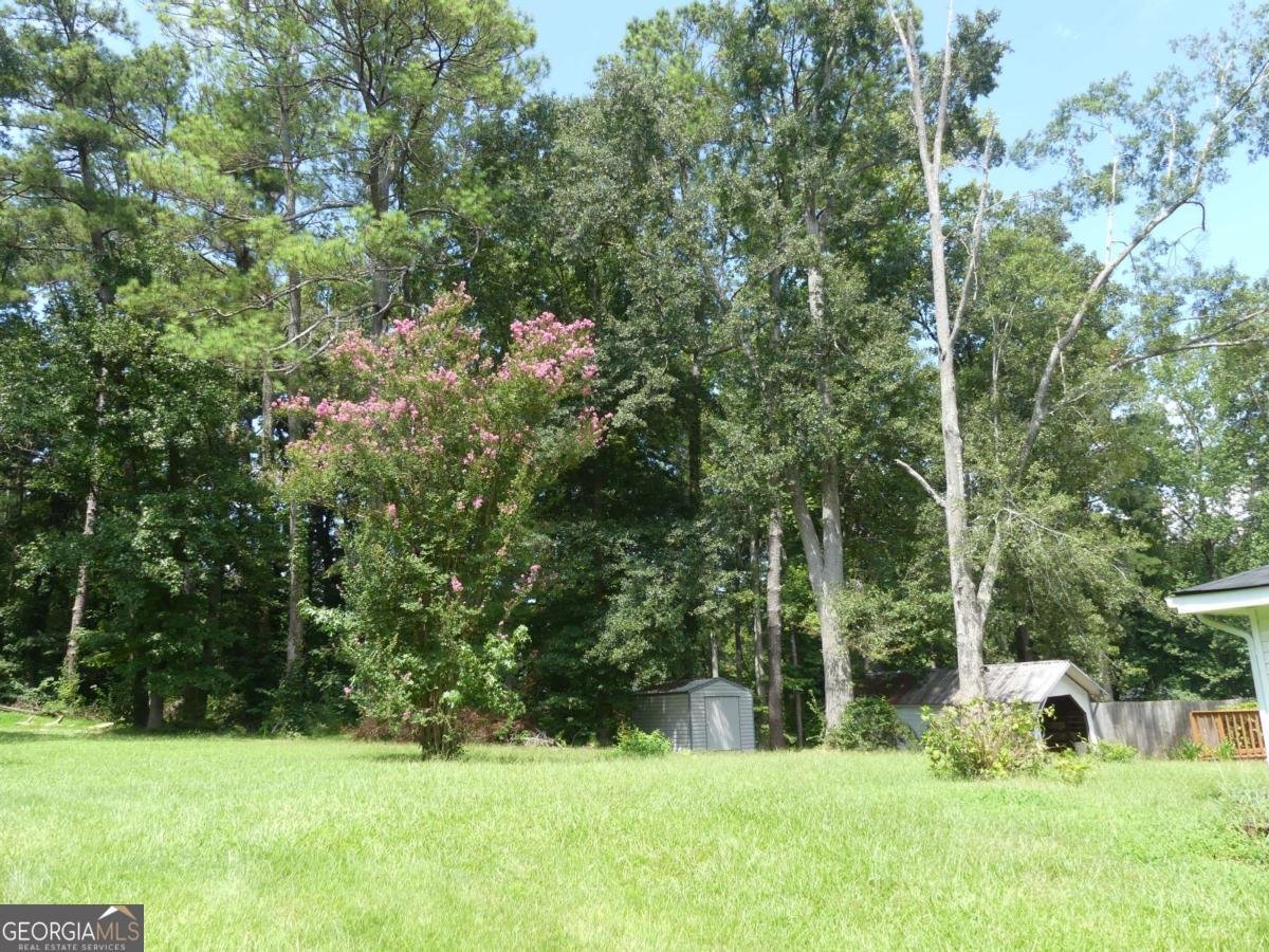 1660 Old Alabama Road Austell - Photo 36
