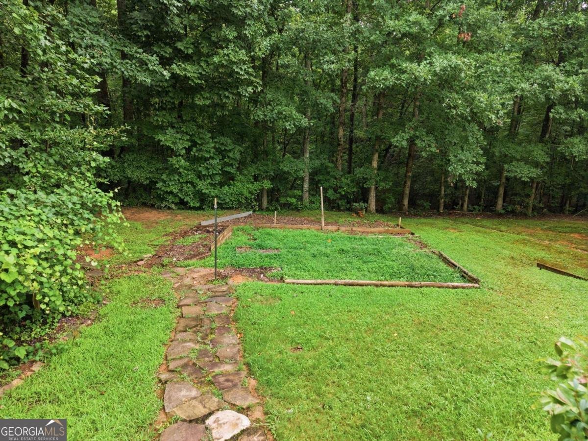 128 Fern Park Drive Dawsonville - Photo 43
