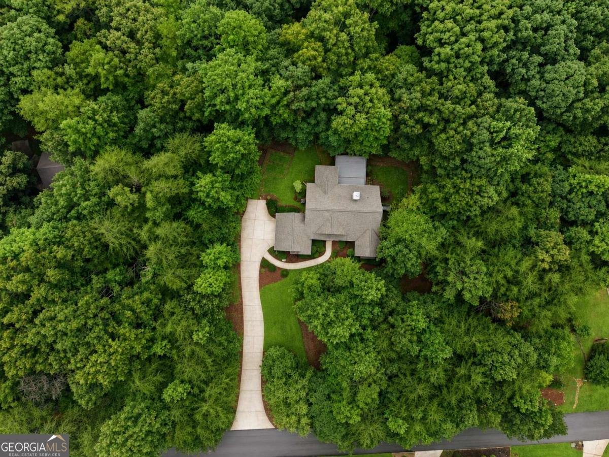 128 Fern Park Drive Dawsonville - Photo 49
