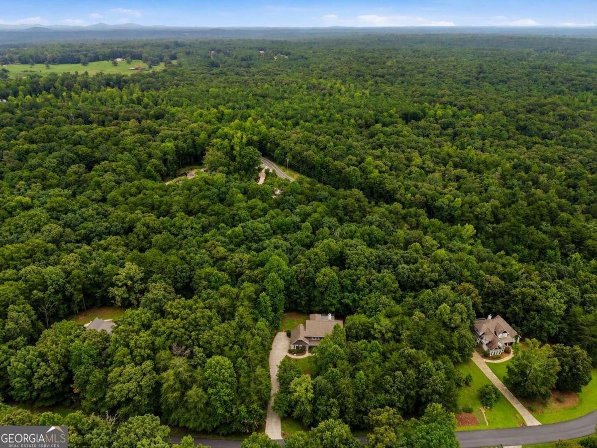 128 Fern Park Drive Dawsonville - Photo 50