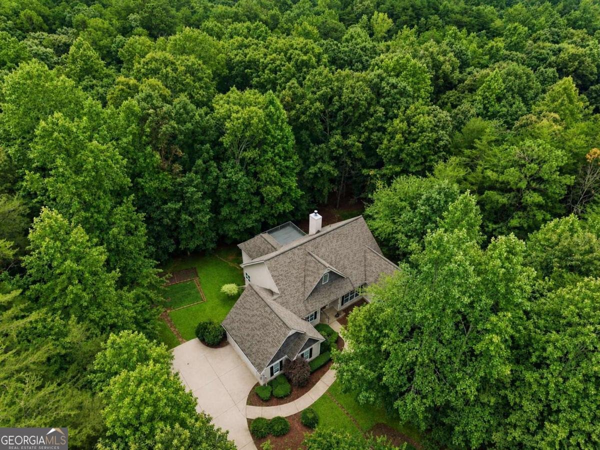 128 Fern Park Drive Dawsonville - Photo 51
