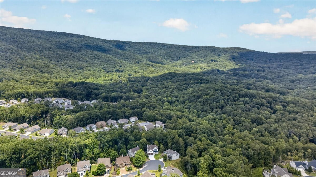 2021 Eagles Ridge Waleska - Photo 69
