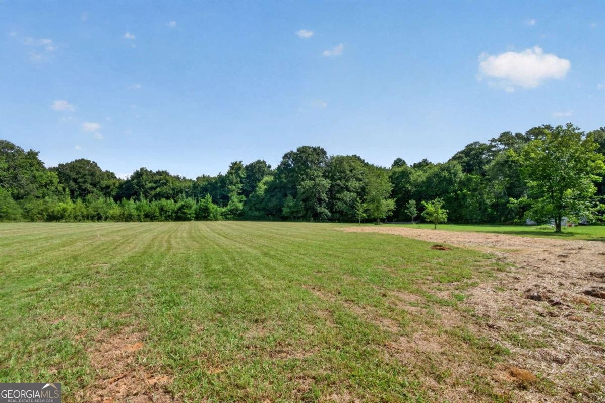 65 WIEUCA Way Cedartown - Photo 30