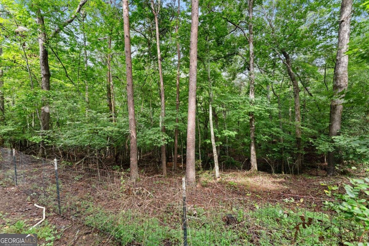 34 Somerset Place Dahlonega - Photo 28