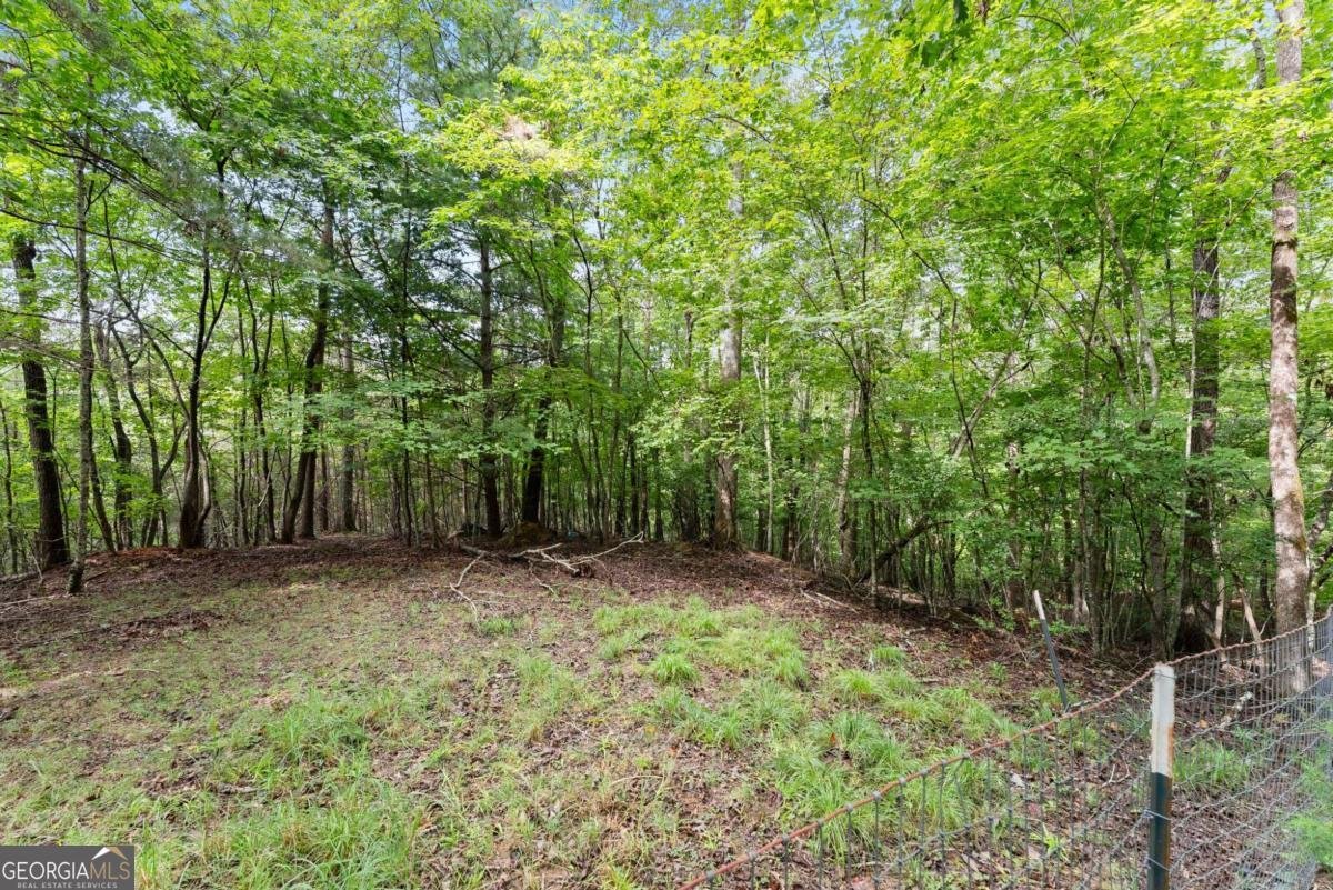 34 Somerset Place Dahlonega - Photo 29