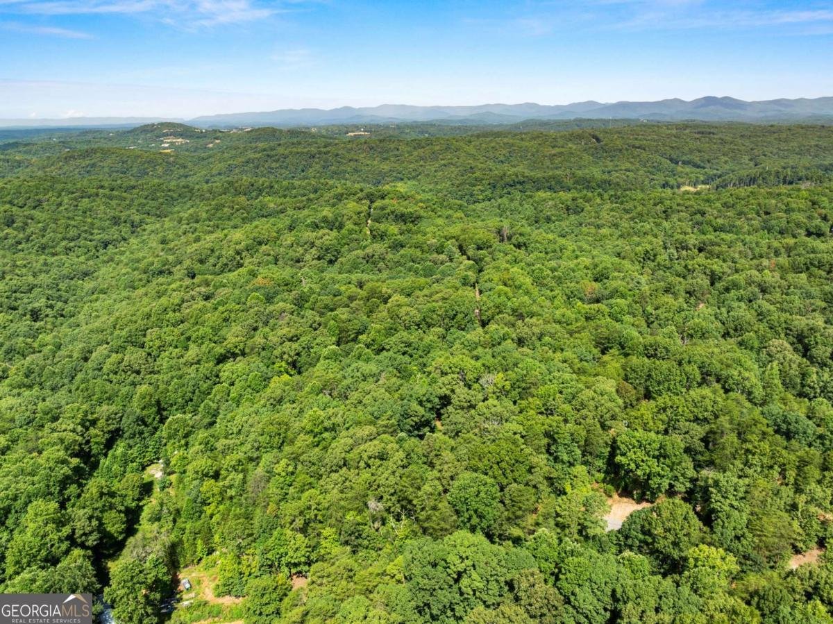 34 Somerset Place Dahlonega - Photo 33