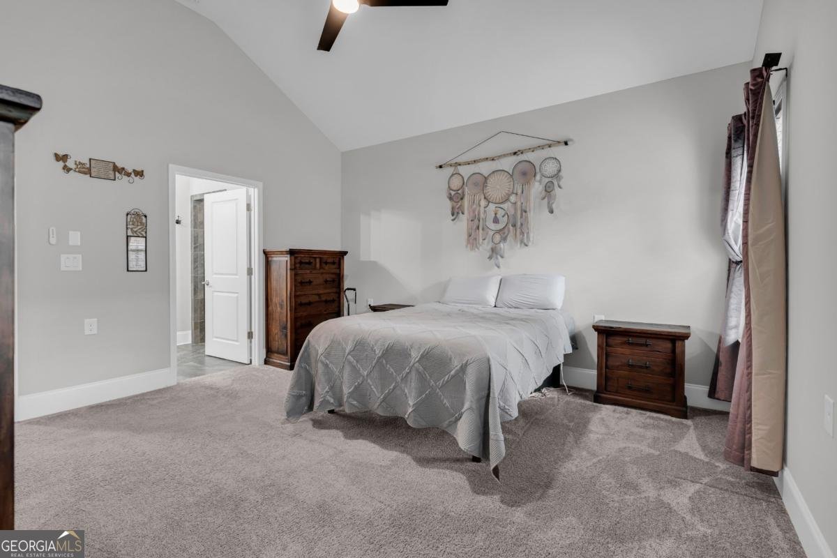 542 Bray Street Woodstock - Photo 52