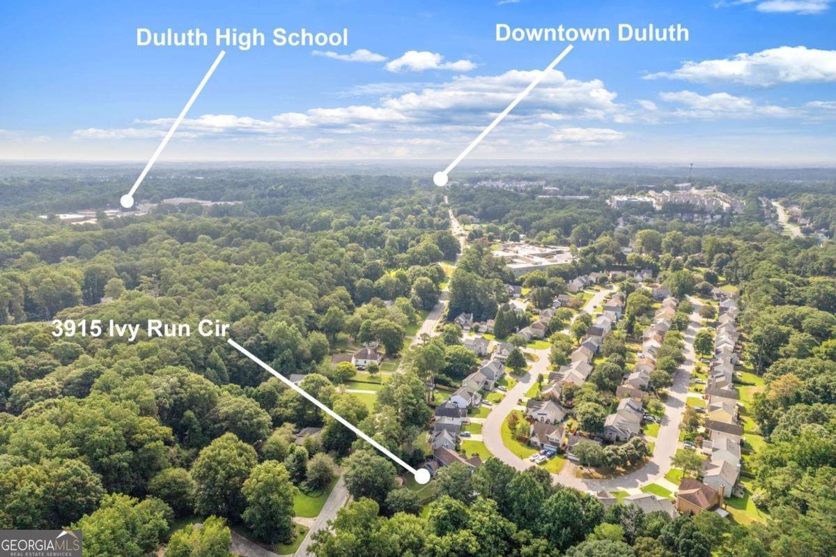 3915 Ivy Run Circle Duluth - Photo 48