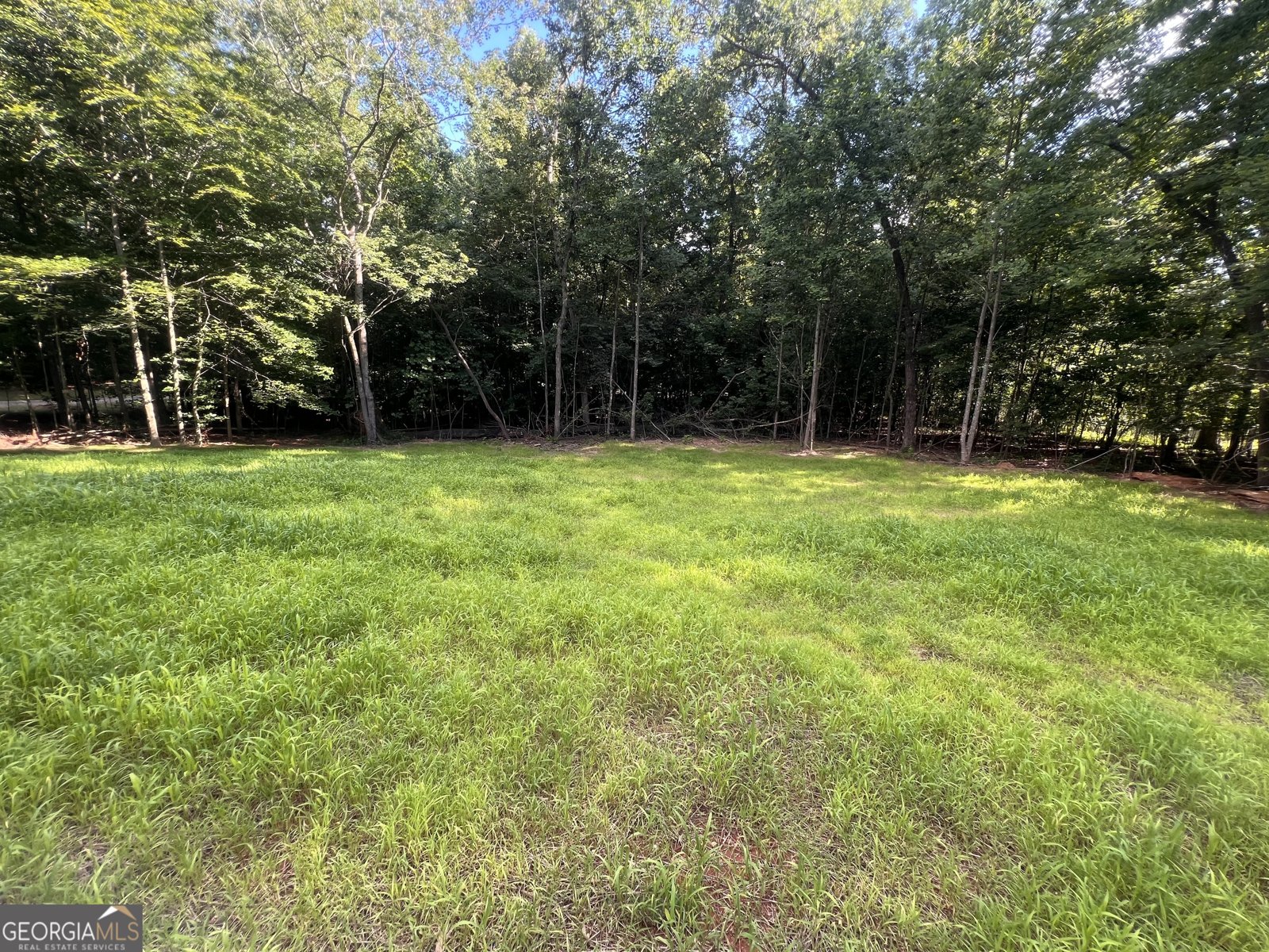 238 Signing Tree Trail Clarkesville - Photo 35