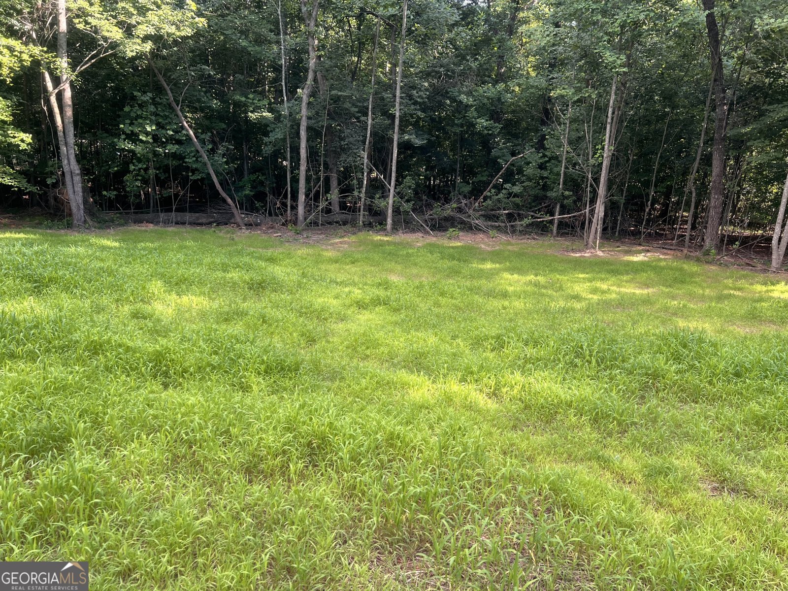 238 Signing Tree Trail Clarkesville - Photo 36