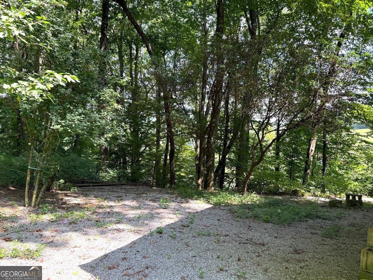 398 Taylors Chapel Road Rabun Gap - Photo 20