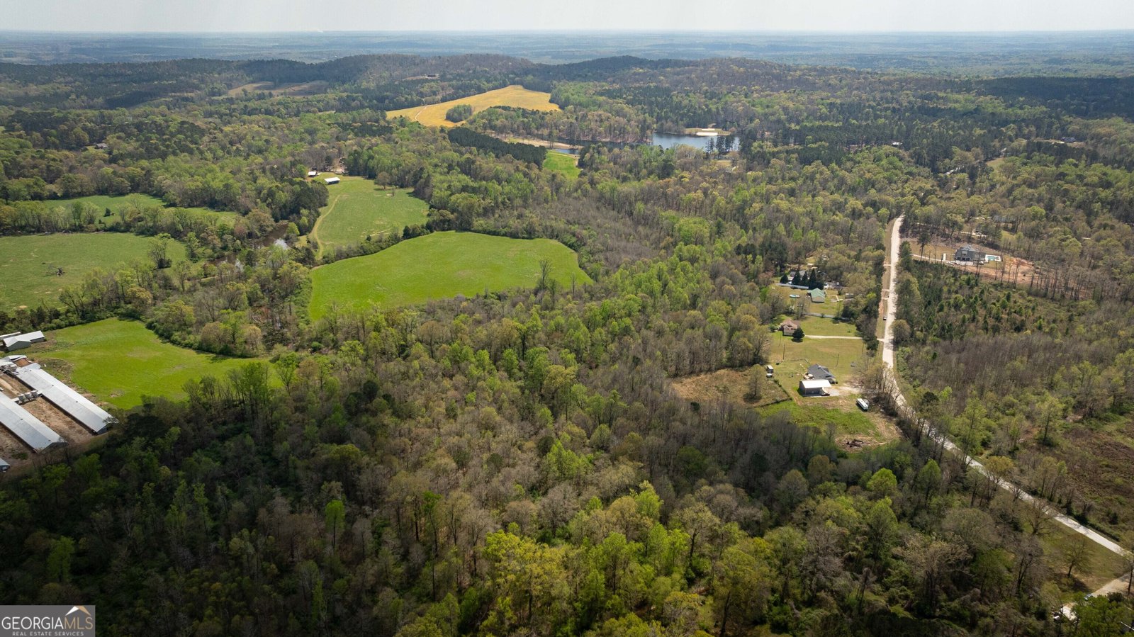 647 Pine Valley Road Meansville - Photo 41