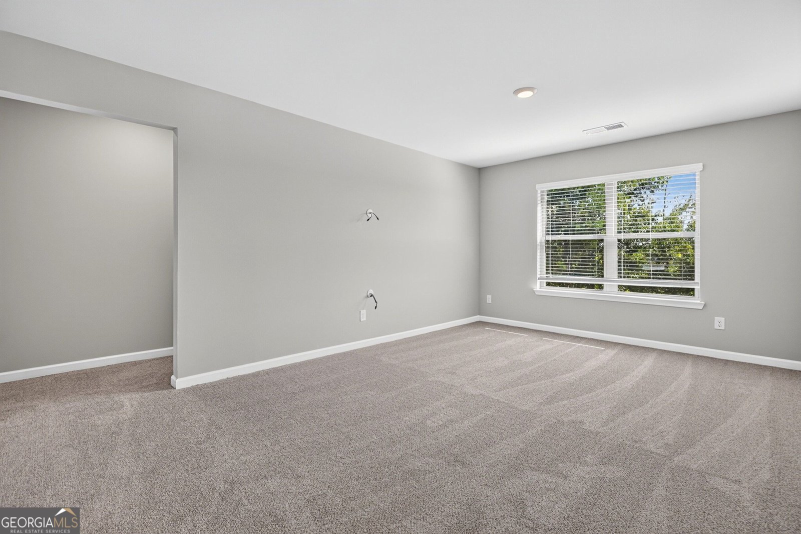 45 Filson Drive Senoia - Photo 53