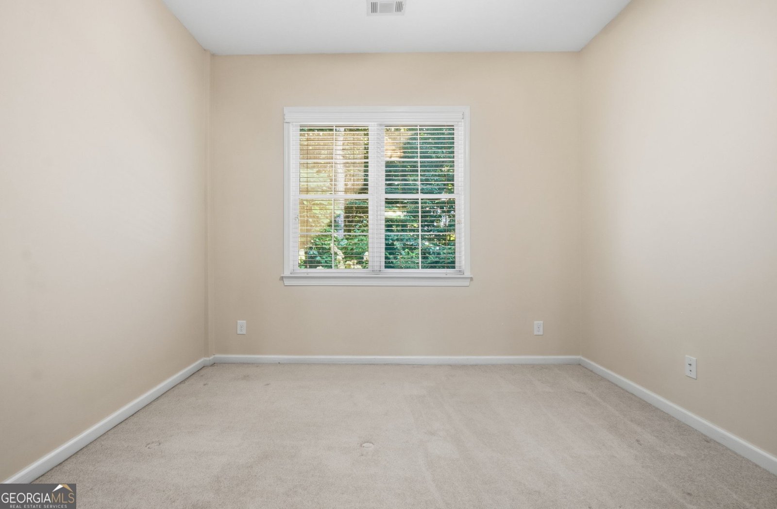 125 Chestnut Drive Canton - Photo 42