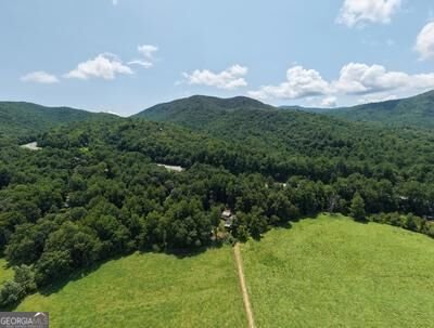 7429 Cassie Lane Hiawassee - Photo 63