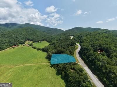 7429 Cassie Lane Hiawassee - Photo 66