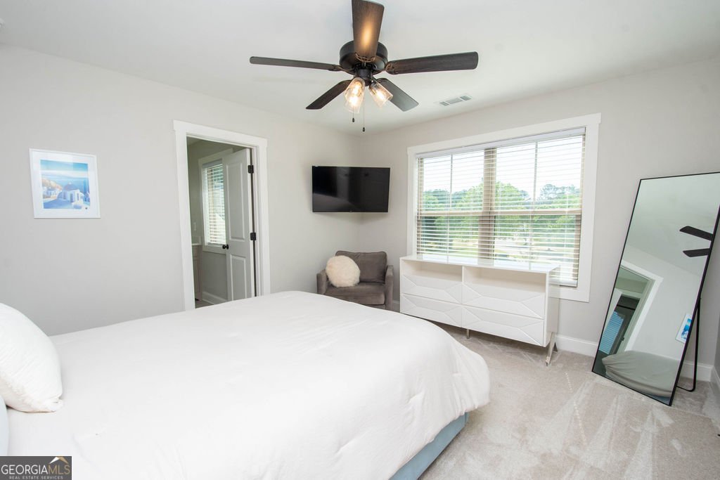110 Beresford Road Tyrone - Photo 49