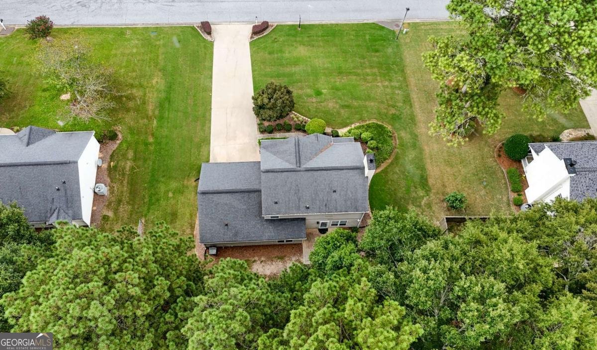 4255 Willow Springs Drive Loganville - Photo 38
