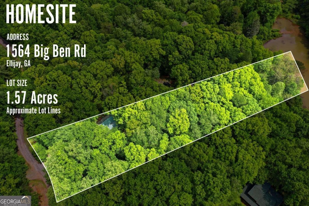 1564 Big Ben Road Ellijay - Photo 10