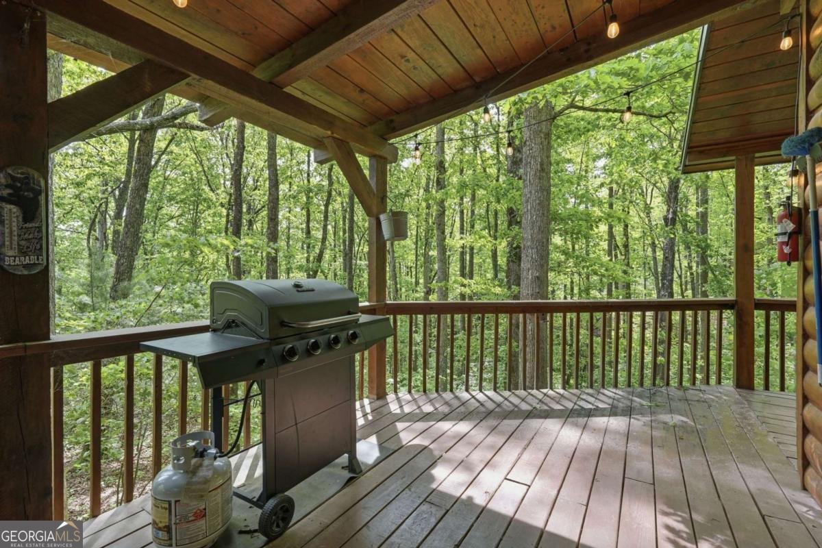 1564 Big Ben Road Ellijay - Photo 29
