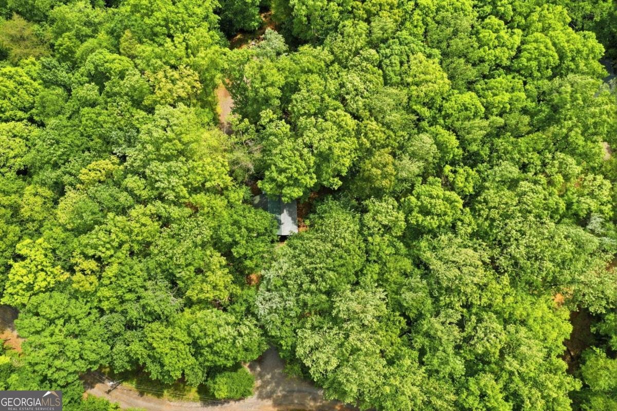 1564 Big Ben Road Ellijay - Photo 37