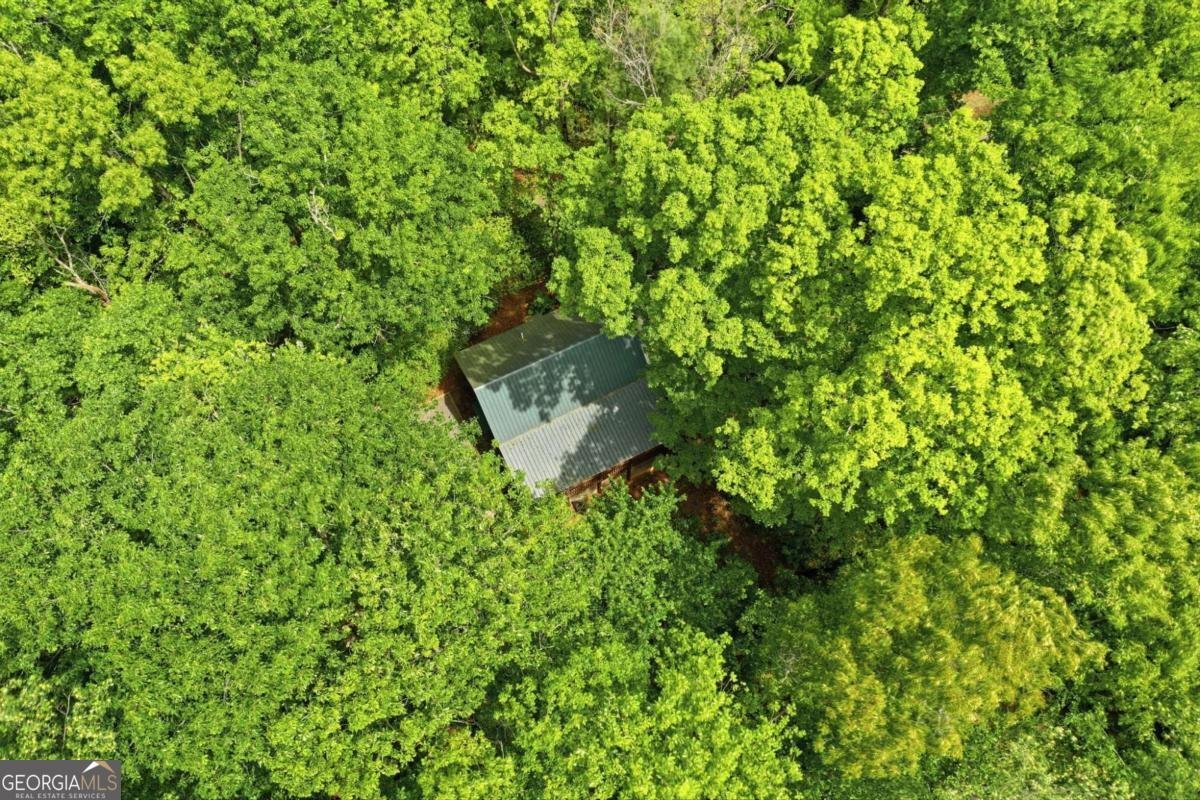 1564 Big Ben Road Ellijay - Photo 38