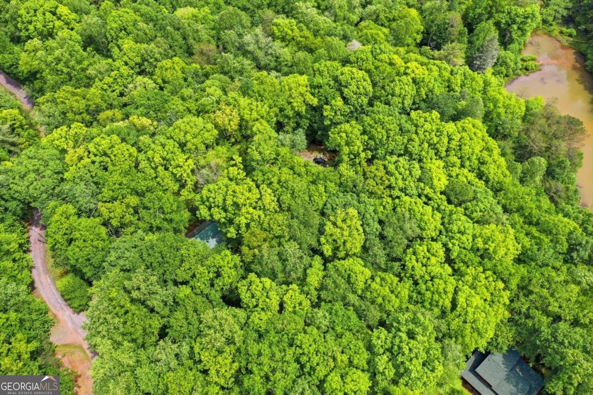 1564 Big Ben Road Ellijay - Photo 40