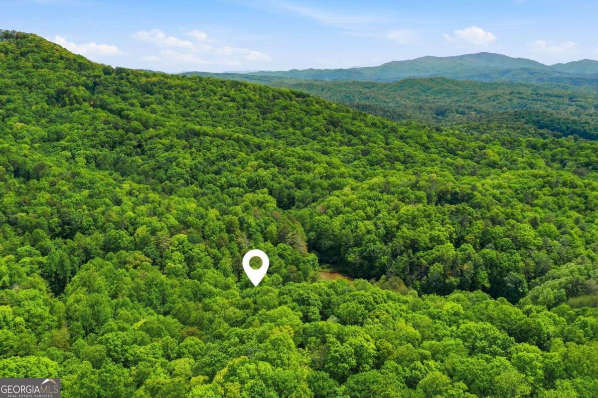 1564 Big Ben Road Ellijay - Photo 41