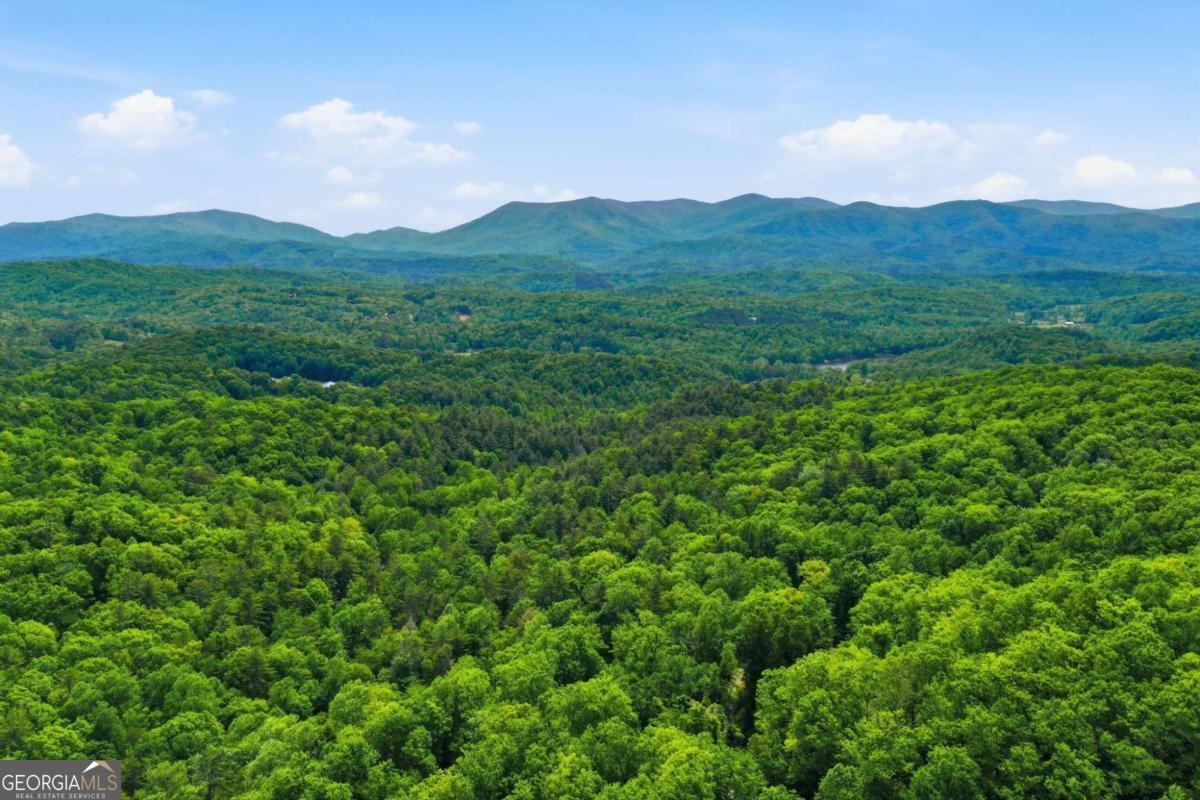 1564 Big Ben Road Ellijay - Photo 42