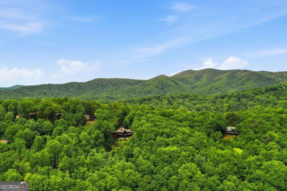 1564 Big Ben Road Ellijay - Photo 45