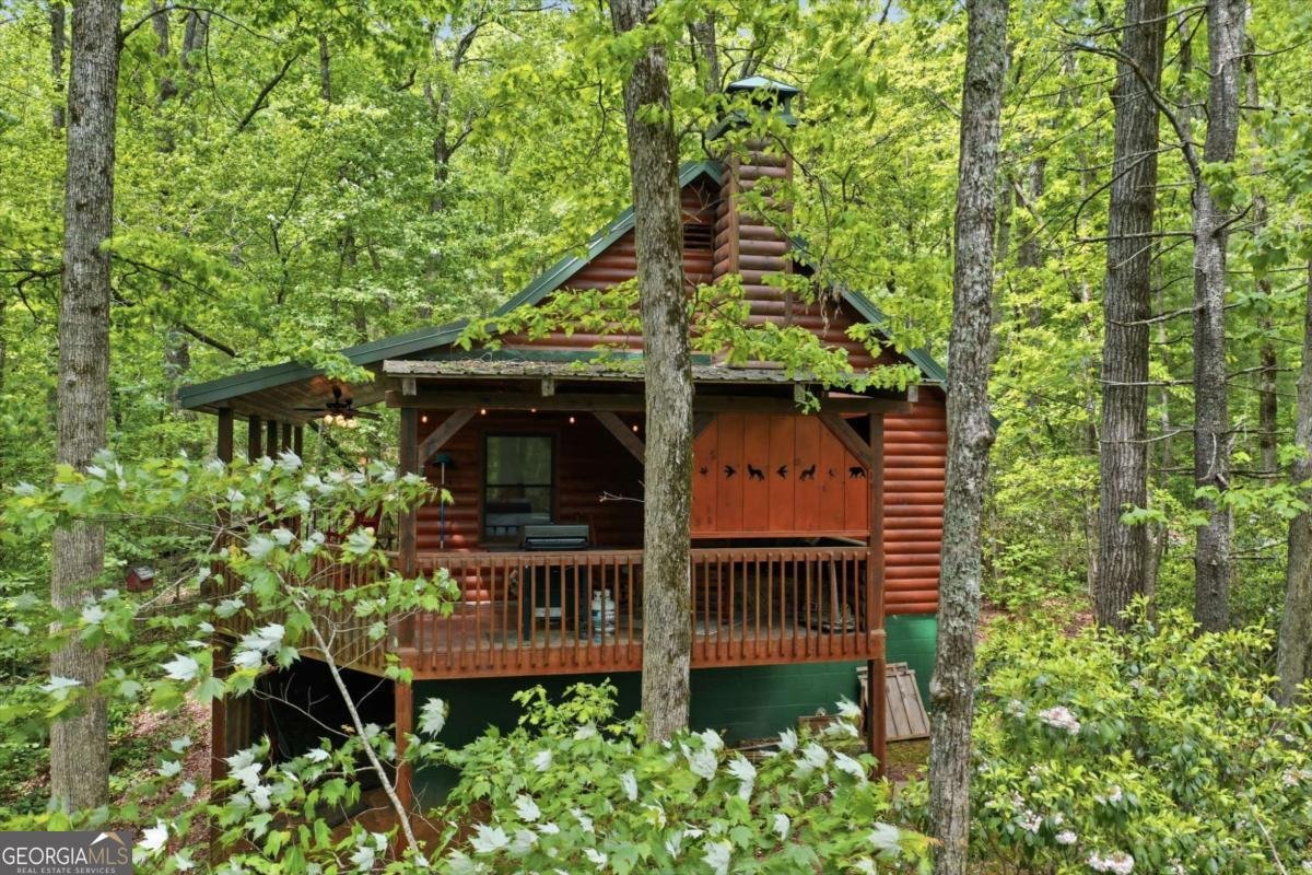 1564 Big Ben Road Ellijay - Photo 61