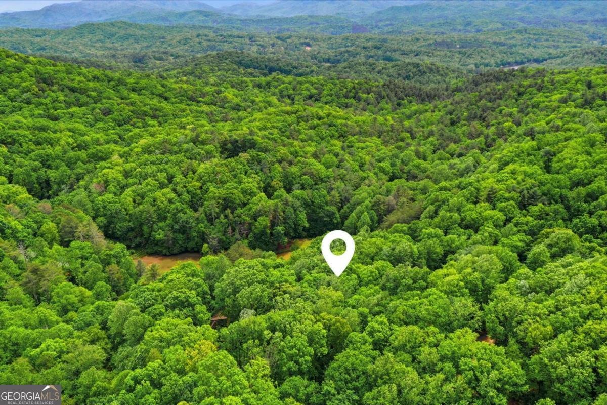 1564 Big Ben Road Ellijay - Photo 62